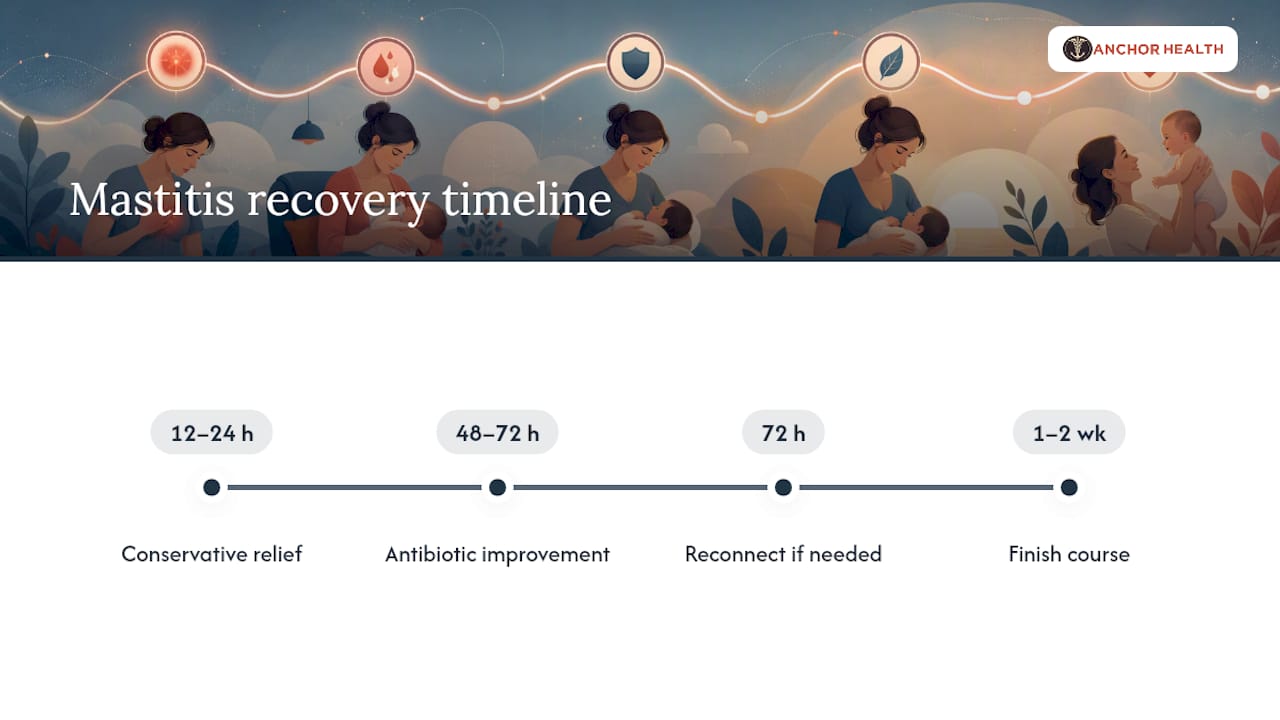 Mastitis treatment and recovery timeline